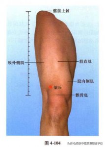 ​足阳明胃经经穴-梁丘穴