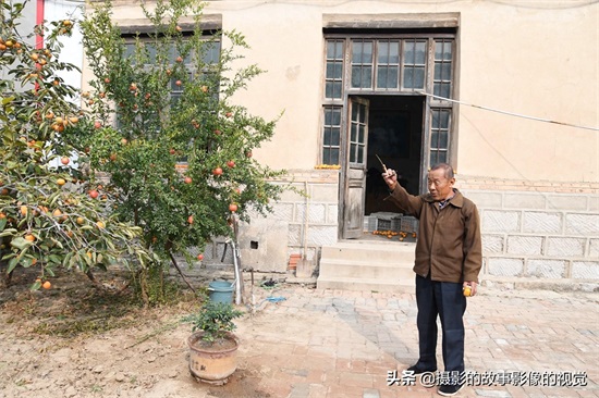 山东老家大叔手工制作柿子饼，卖10元一斤，土房子是家的记忆