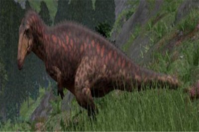 高棘龙:一种有高棘的蜥蜴(属于食肉性的恐龙)