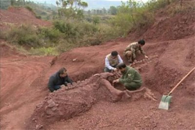 漂流甲龙:造型十分特殊如同装甲车普遍(钻研价格高)