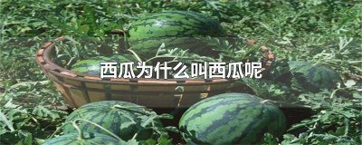 西瓜为什么叫西瓜呢小鱼的画法 西瓜为什么叫西瓜呢图片