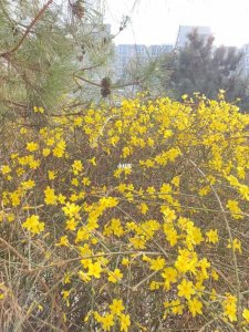 北京游玩哪个季节好