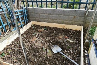 龟池设计:静水沼泽池塘你学会了吗